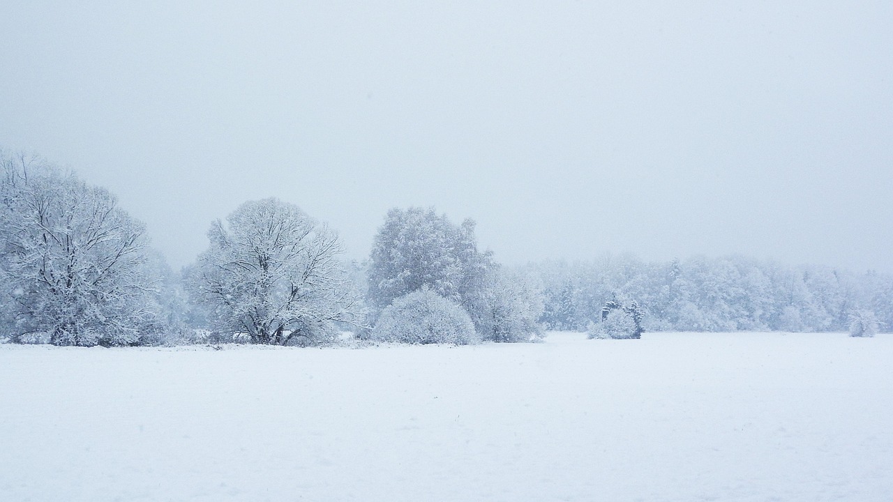Grafika przedstawia zimę