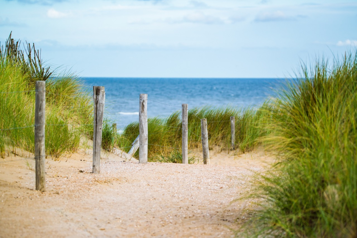 Zdjęcie przedstawia plażę i morze