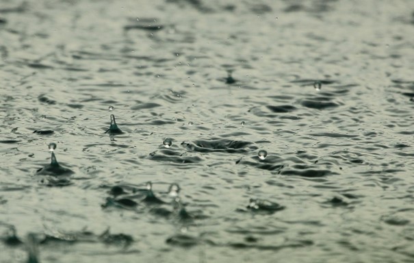Fotografia przedstawia padający deszcz