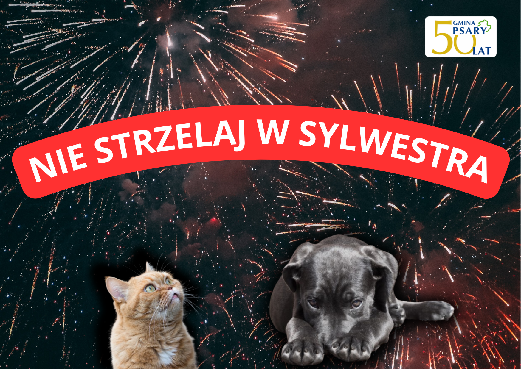 NIE STRZELAJ W SYLWESTRA