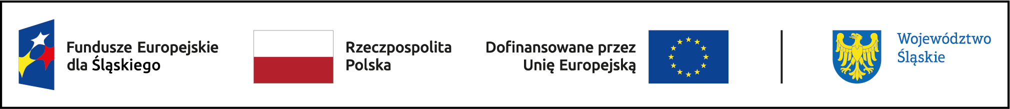 FE SL kolor poziom