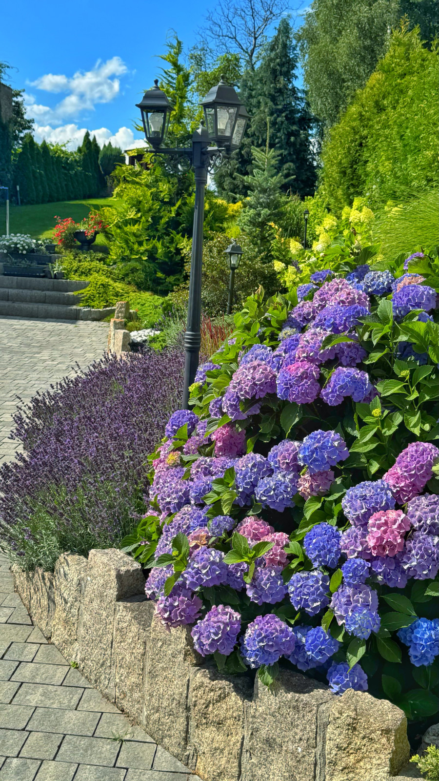 Zdjęcie przedstawia zwycięski ogród